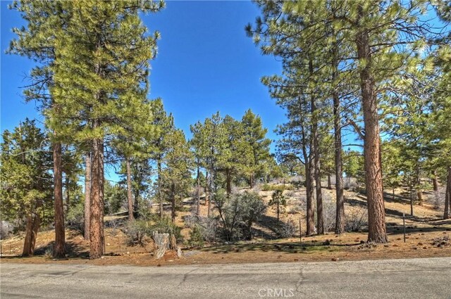 745 Barret Way, Big Bear City, CA 92314 - photo 33