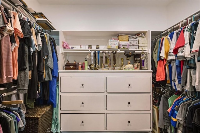 17985 Crabapple Ct, San Bernardino, CA 92407 - view of walk in closet