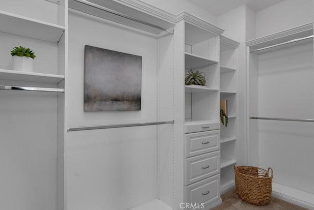 8000 7th St, Downey, CA 90241 - view of walk in closet