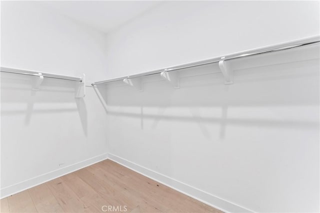 spacious closet featuring light wood-style floors