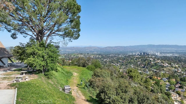 171 Comanche, Topanga, CA 90290 - photo 44
