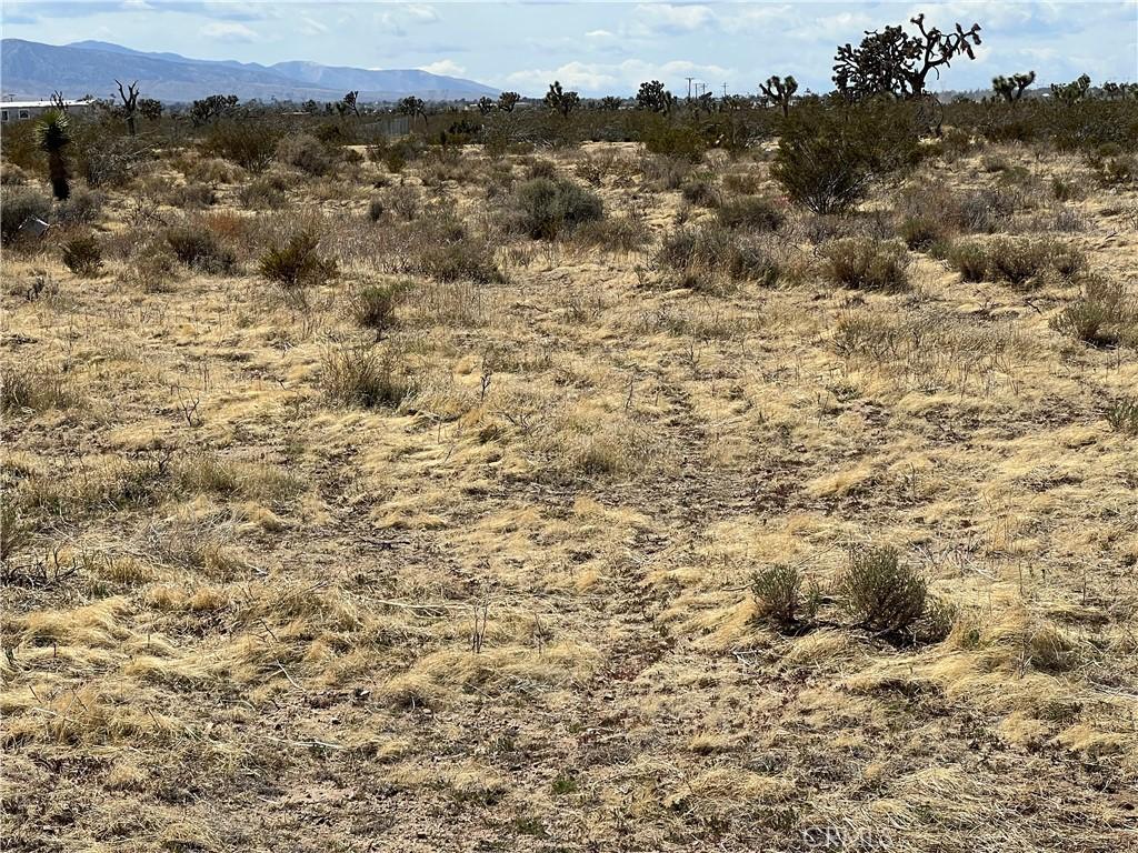 0 Rochester Rd, Phelan, CA 92371 - photo 3
