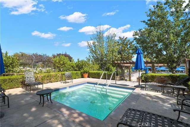 view of pool featuring a patio area