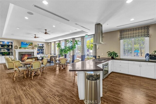 kitchen featuring appliances with stainless steel finishes, island range hood, dark countertops, a tray ceiling, and a ceiling fan