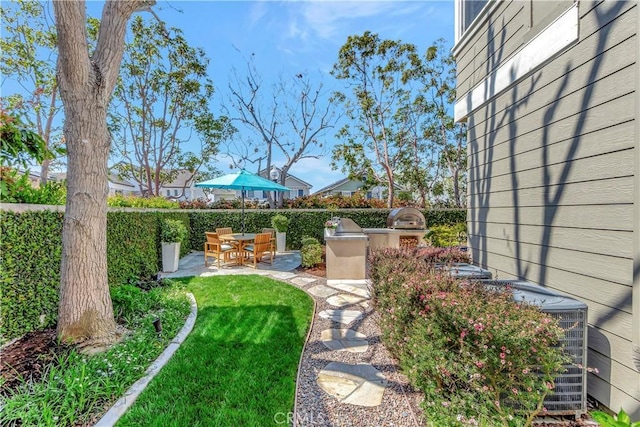 6288 Sunnyside Cir, Huntington Beach, CA 92648 - view of yard with fence, a patio, and an outdoor kitchen