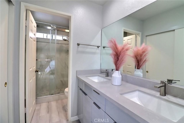 bathroom featuring a shower stall, toilet, a sink, and double vanity