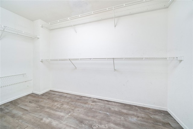 spacious closet featuring wood finished floors