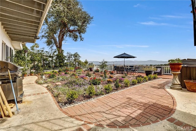 4612 Wolfe Way, Woodland Hills, CA 91364 - view of yard featuring a patio area and a mountain view