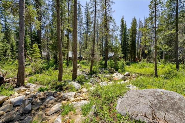 51515 Red Fir Dr, Donner, CA 95728 - photo 31