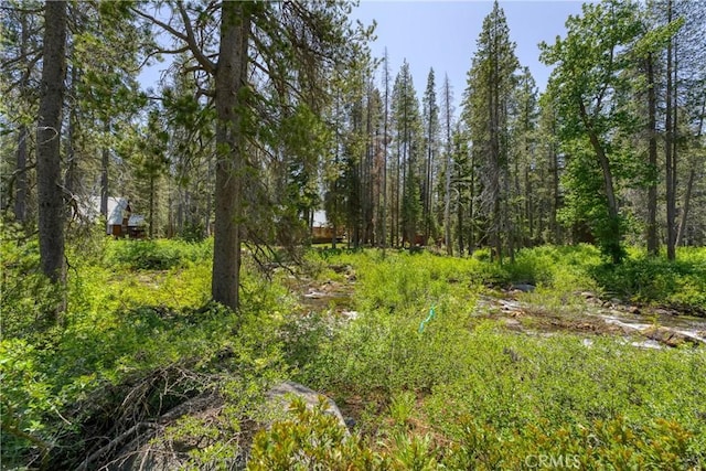 51515 Red Fir Dr, Donner, CA 95728 - photo 34