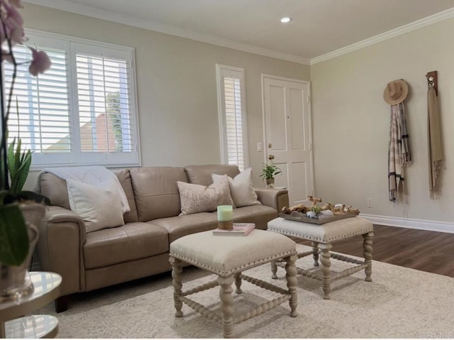 living room featuring wood finished floors, baseboards, ornamental molding, and a healthy amount of sunlight