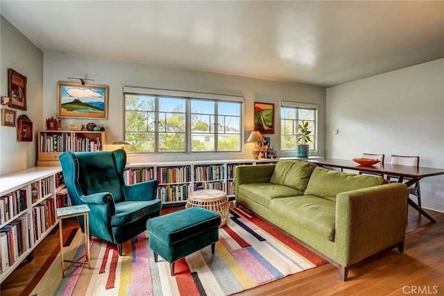 living room featuring wood finished floors