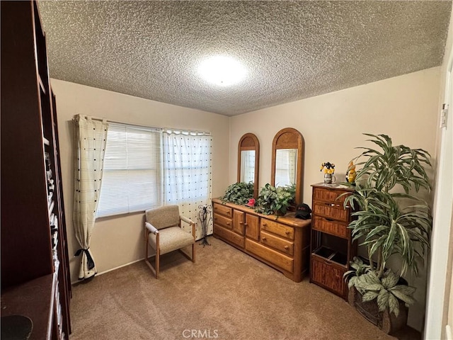 sitting room with a textured ceiling and light carpet
