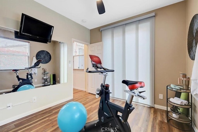workout room featuring wood finished floors, ceiling fan, and baseboards