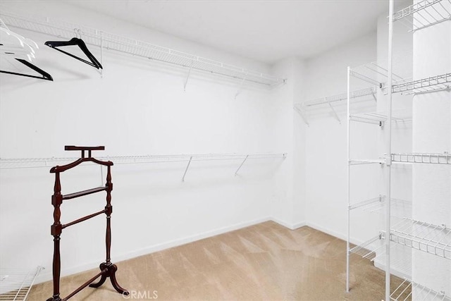 spacious closet with carpet floors