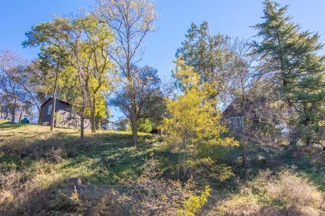 2112 Whispering Pines Dr, Julian, CA 92036 - view of yard