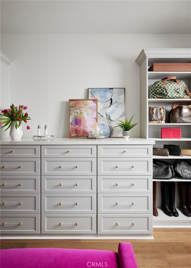 28 Old Course Dr, Newport Beach, CA 92660 - walk in closet with light wood-style flooring