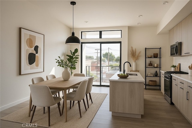 interior space featuring light countertops, decorative backsplash, stainless steel appliances, and a sink