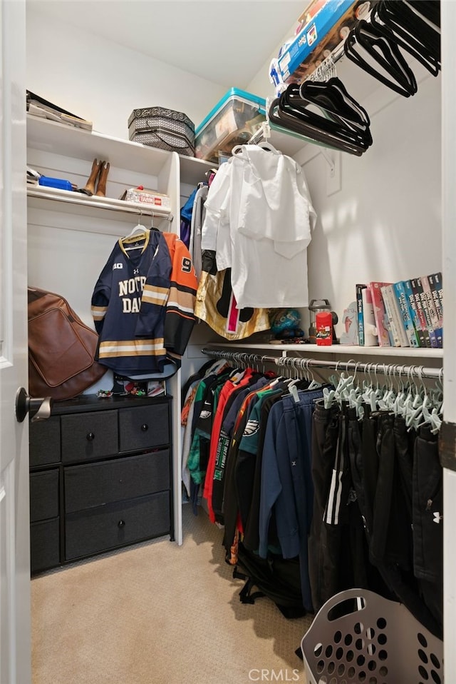 619 10th St, Hermosa Beach, CA 90254 - spacious closet featuring carpet flooring