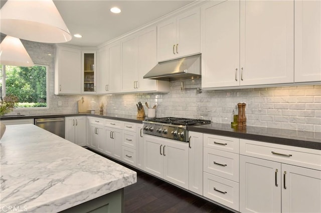 kitchen featuring under cabinet range hood, recessed lighting, white cabinetry, and appliances with stainless steel finishes
