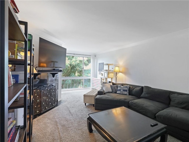 12720 Burbank Blvd Unit 323, Valley Village, CA 91607 - carpeted living room with ornamental molding and a wall of windows