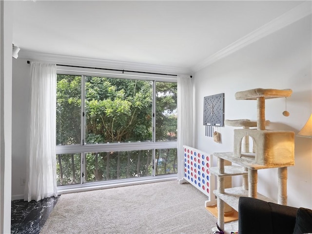 12720 Burbank Blvd Unit 323, Valley Village, CA 91607 - sitting room with crown molding