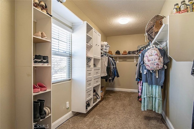 7922 Los Palmas Dr, Oak Hills, CA 92344 - walk in closet featuring carpet