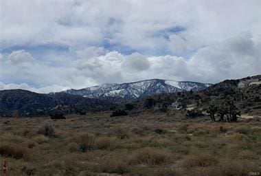 8480 State Highway 138, Pinon Hills, CA 92372