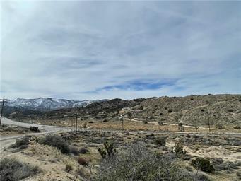8480 State Highway 138, Pinon Hills, CA 92372