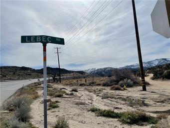 8480 State Highway 138, Pinon Hills, CA 92372