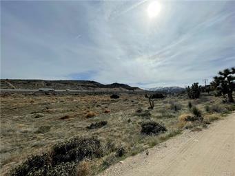 8480 State Highway 138, Pinon Hills, CA 92372