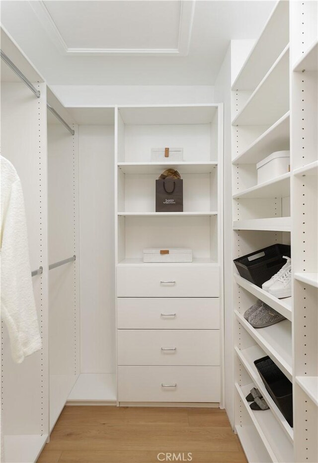 spacious closet featuring light wood-style floors