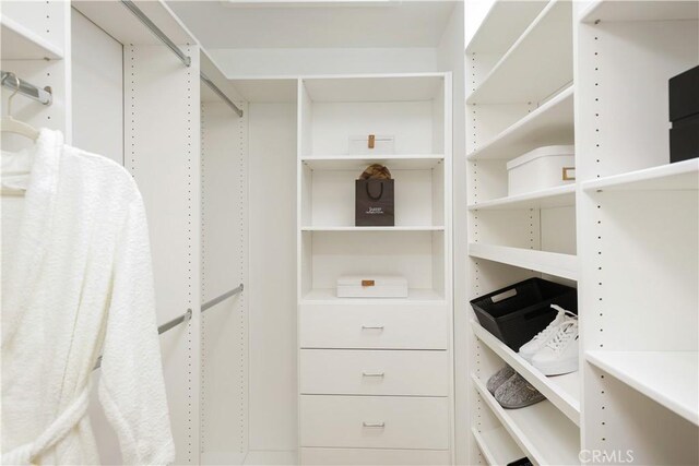 view of walk in closet