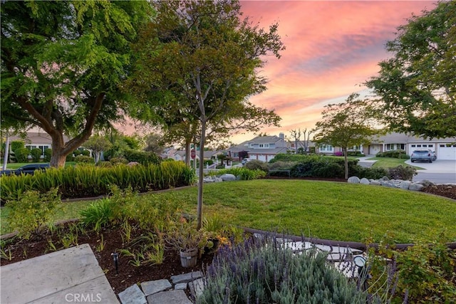 view of yard featuring a residential view