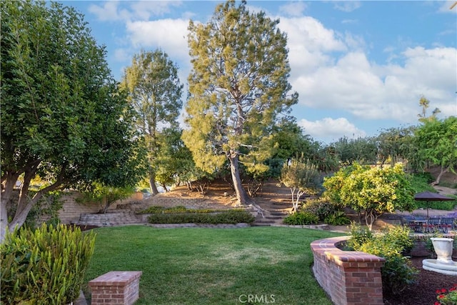 view of yard