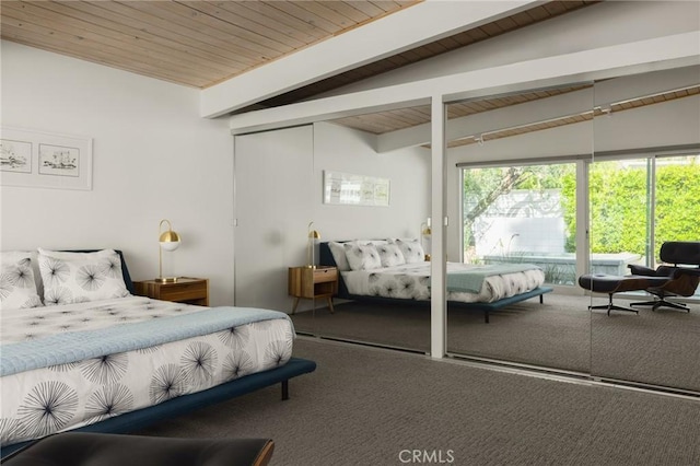 bedroom featuring carpet flooring, two closets, and multiple windows