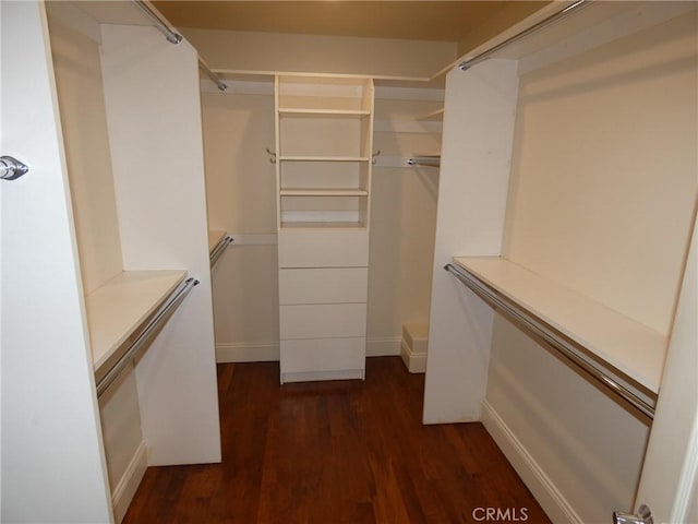 304 27th St, Manhattan Beach, CA 90266 - walk in closet with dark wood-style floors