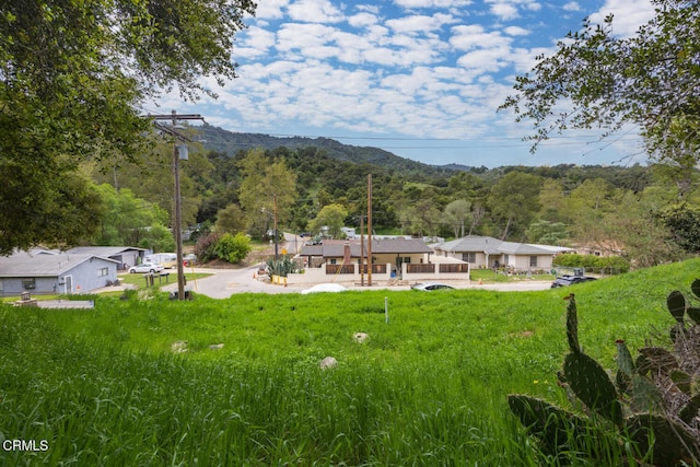 7900 Camp Chaffee Rd, Ventura, CA 93001 - photo 7