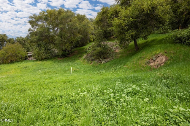 7900 Camp Chaffee Rd, Ventura, CA 93001 - photo 2
