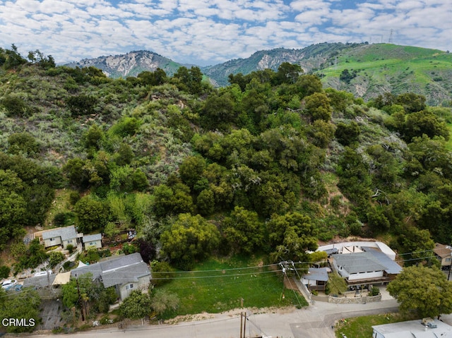 7900 Camp Chaffee Rd, Ventura, CA 93001 - photo 10