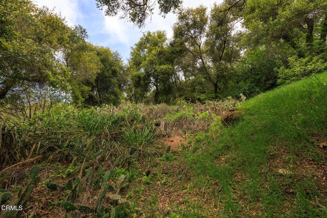 7900 Camp Chaffee Rd, Ventura, CA 93001 - photo 6