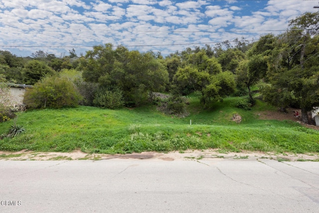 7900 Camp Chaffee Rd, Ventura, CA 93001 - photo 8