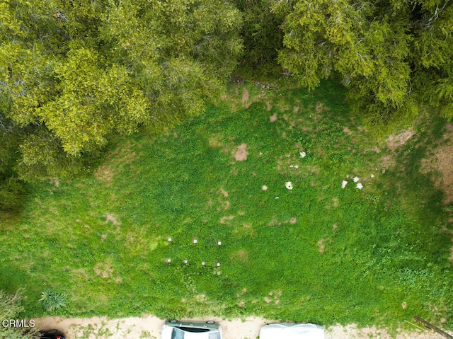 7900 Camp Chaffee Rd, Ventura, CA 93001 - photo 12