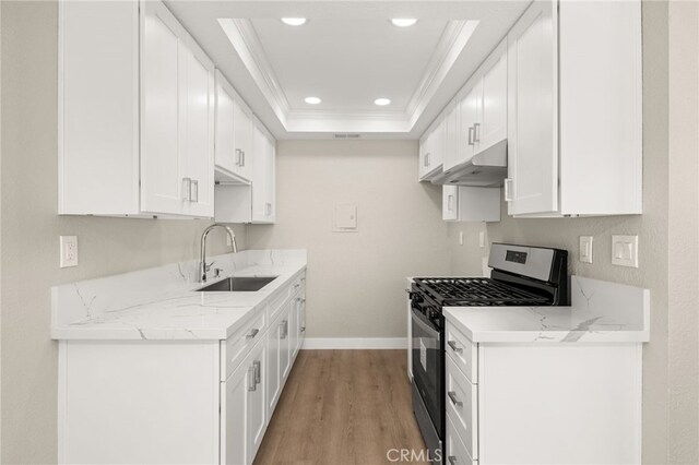 26497 Calle San Francisco Unit 60F, San Juan Capistrano, CA 92675 - kitchen featuring crown molding, a sink, light wood-style flooring, stainless steel range with gas cooktop, and under cabinet range hood