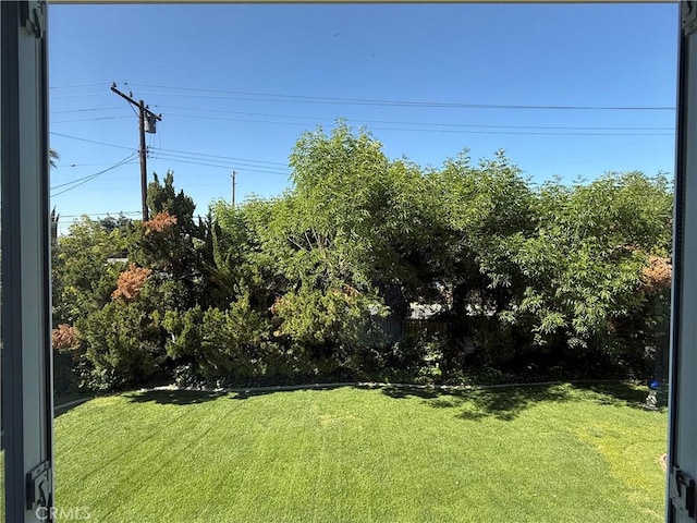 view of yard