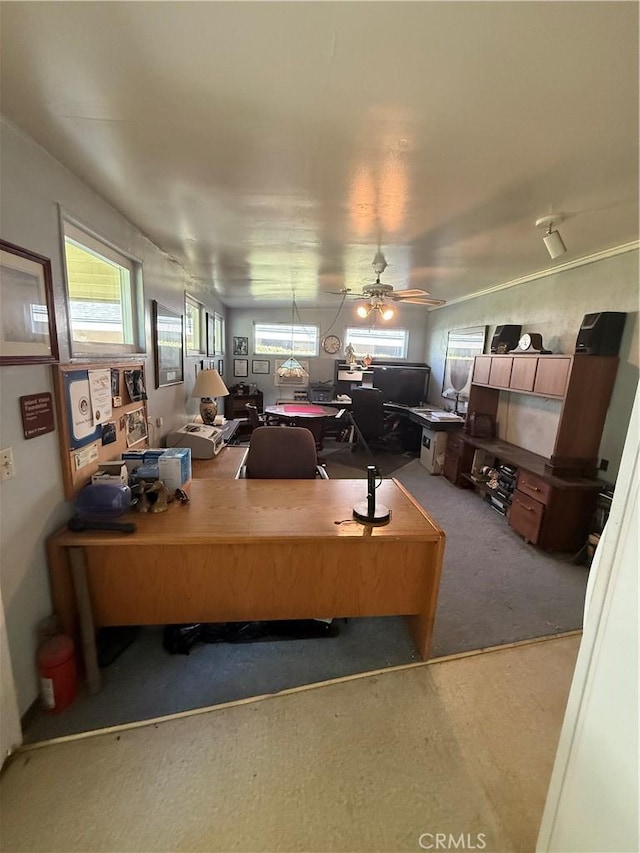 home office with ceiling fan and carpet floors