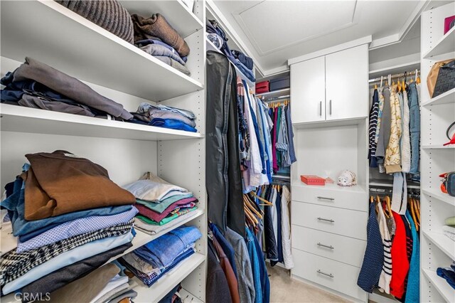 35 Jonquil, Irvine, CA 92618 - walk in closet featuring attic access and light carpet