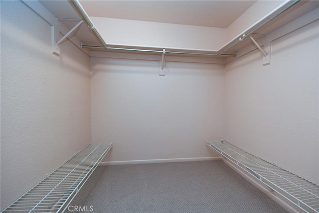 41768 Via El Greco, Temecula, CA 92592 - walk in closet with carpet floors