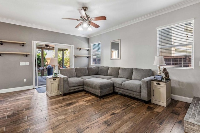 living area featuring ornamental molding, ceiling fan, and dark wood finished floors