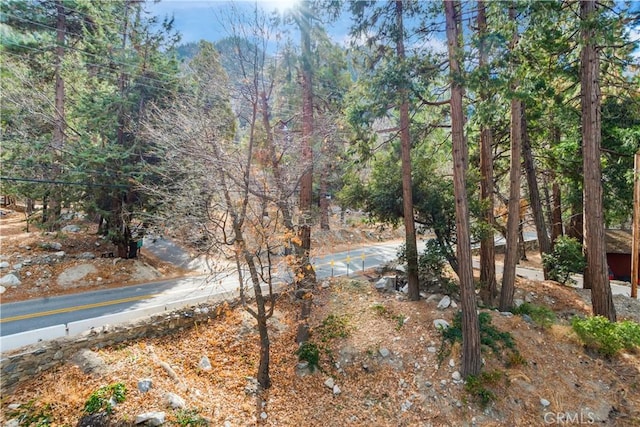 view of road featuring a view of trees